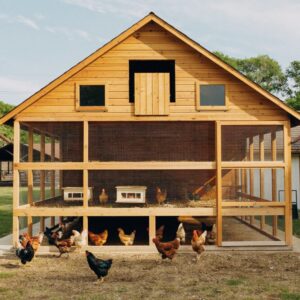 8x10 walk in chicken coop plans