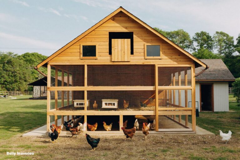 8x10 walk in chicken coop plans