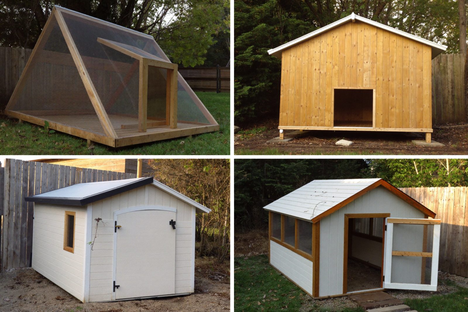 DIY chicken coop