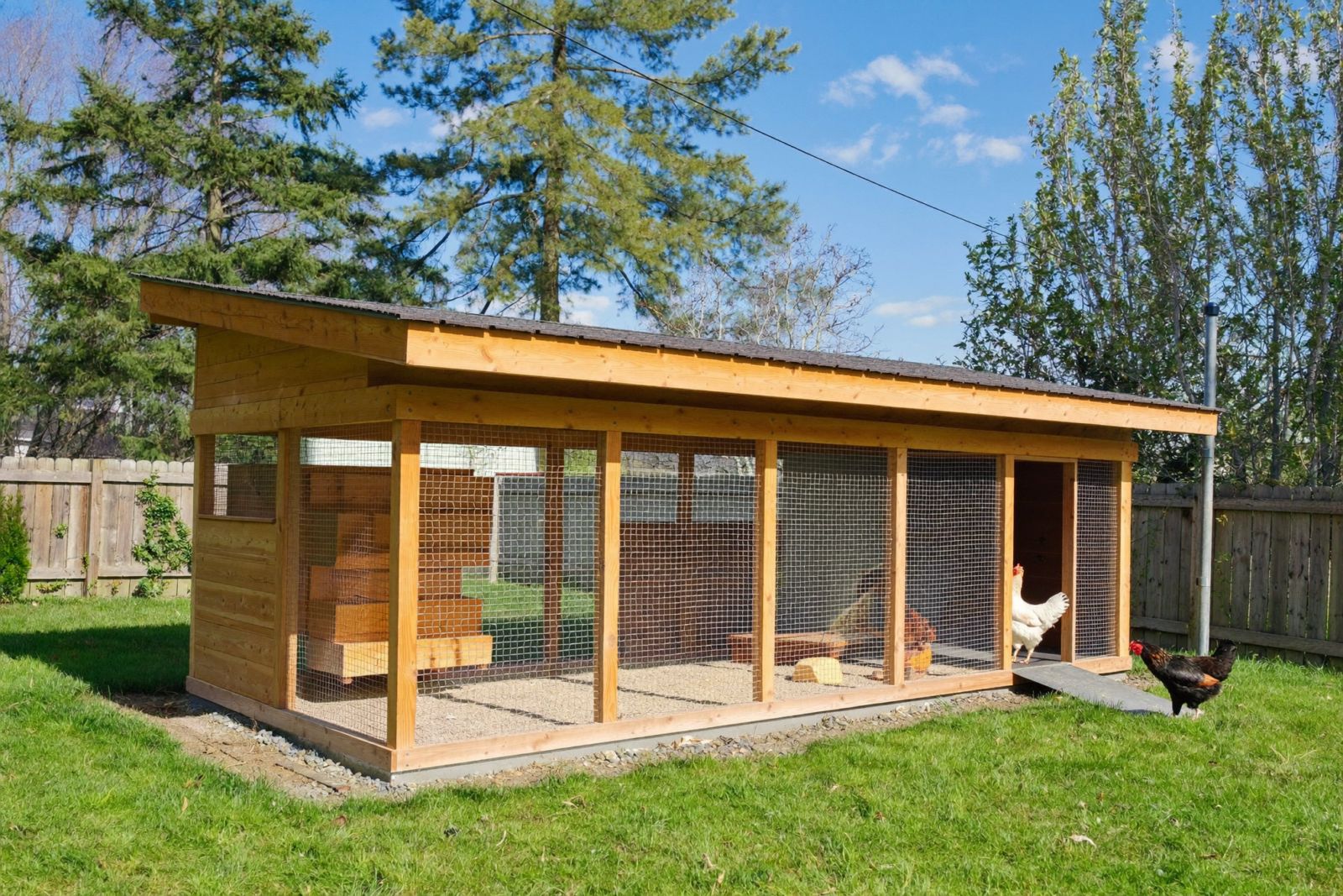 chicken coop and run plans